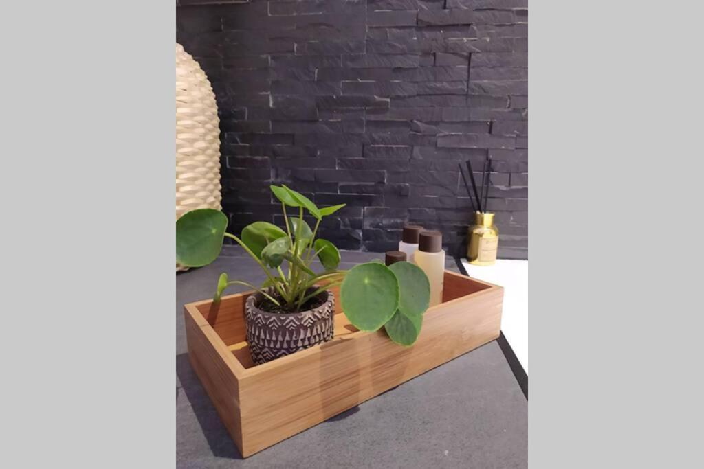 Elegante Open Space Con Vasca Idromassaggio A Trastevere * Rom